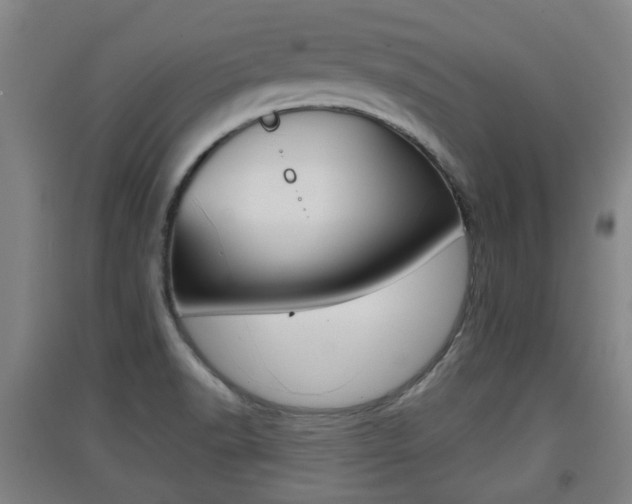 X0000091551518200708171031