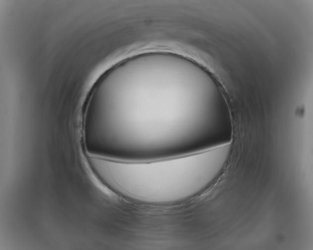 X0000091551519200708171031