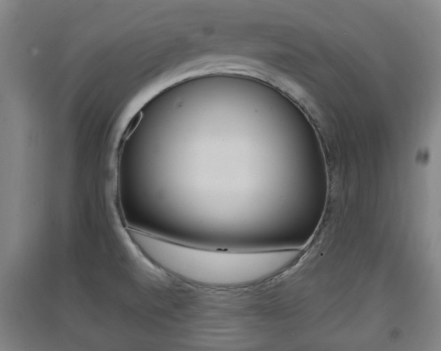X0000091551520200708171031