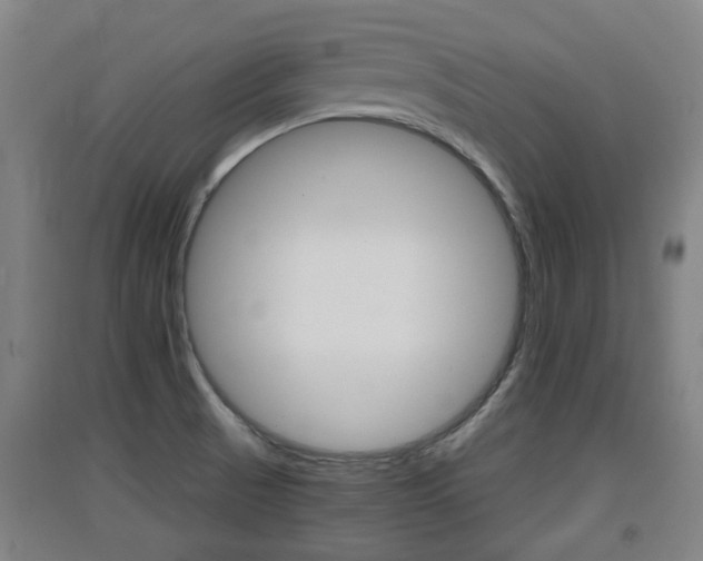 X0000091551521200708171031