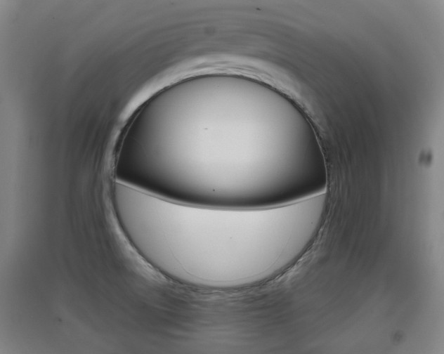 X0000091551522200708171031