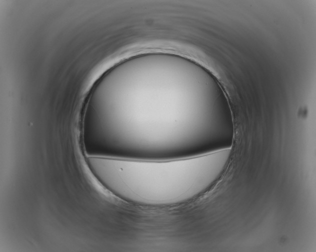 X0000091551523200708171031