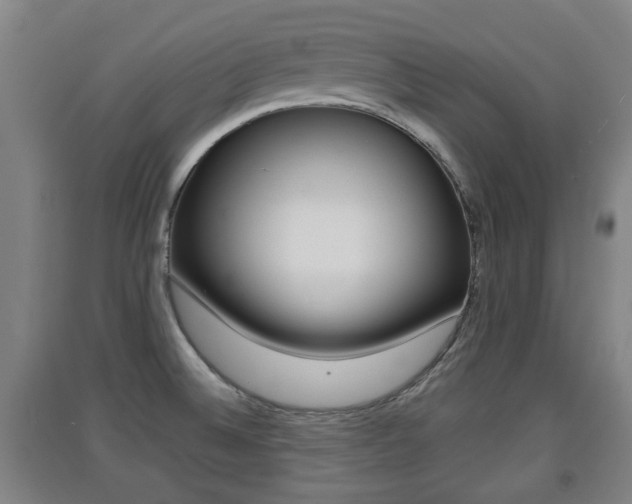 X0000091551524200708171031