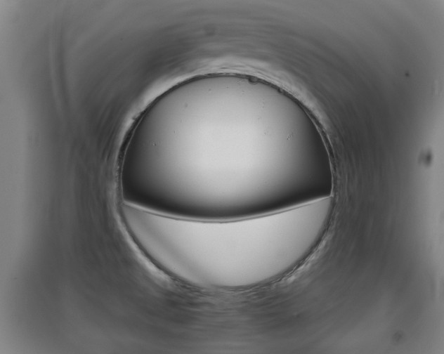 X0000091551525200708171031