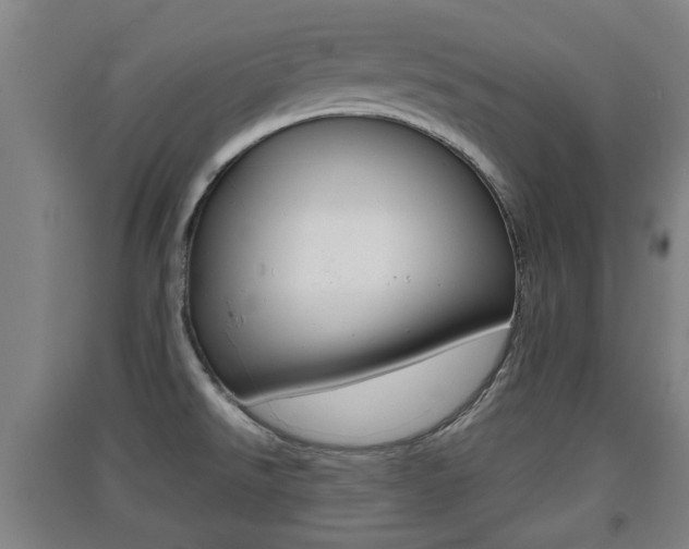 X0000091551526200708171031