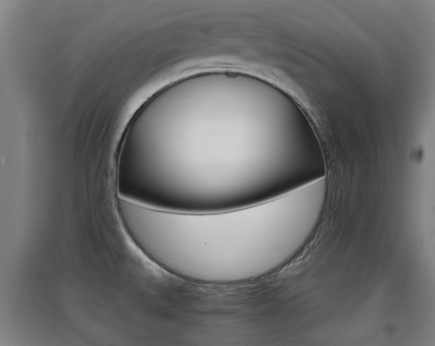 X0000091551527200708171031