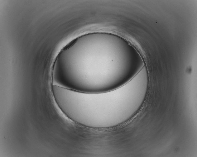 X0000091551528200708171031