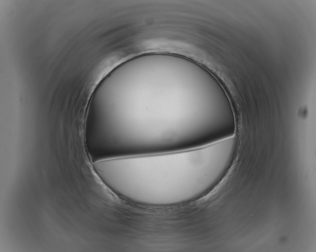 X0000091551529200708171031