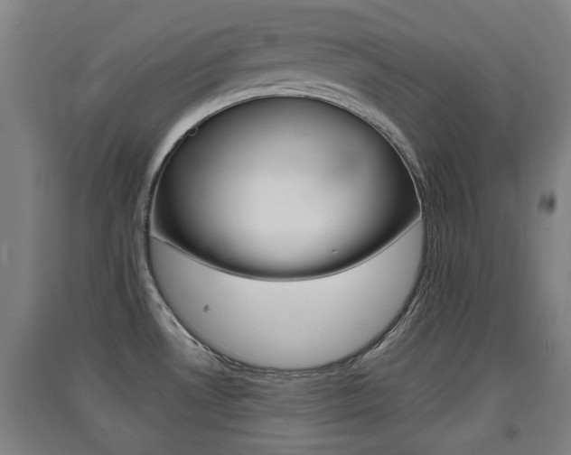 X0000091551530200708171031