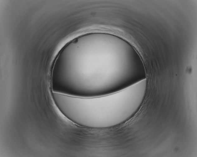 X0000091551531200708171031