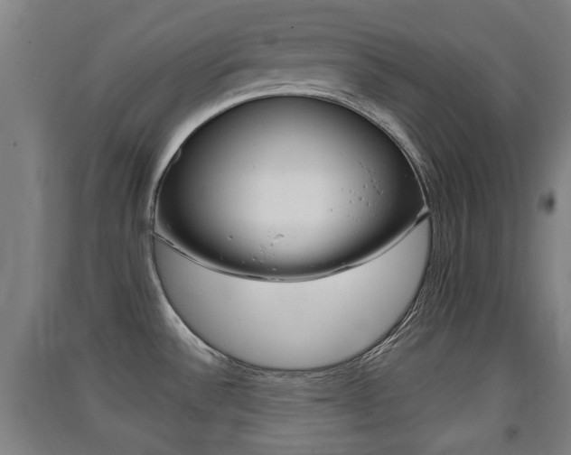 X0000091551532200708171031