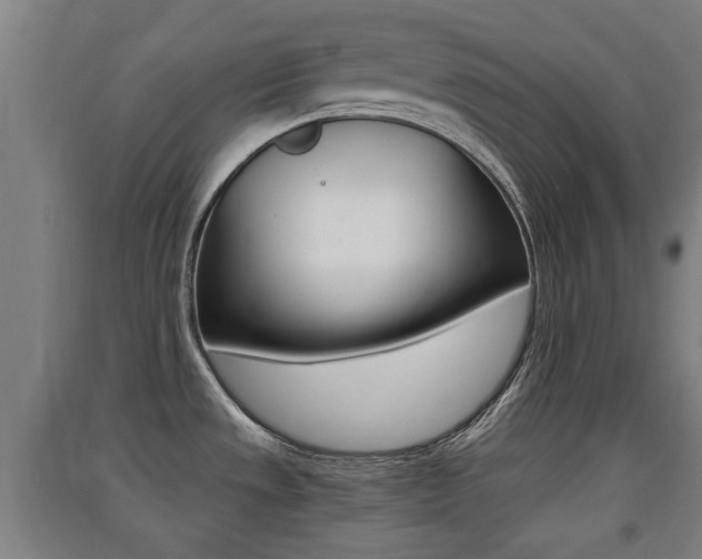 X0000091551533200708171031