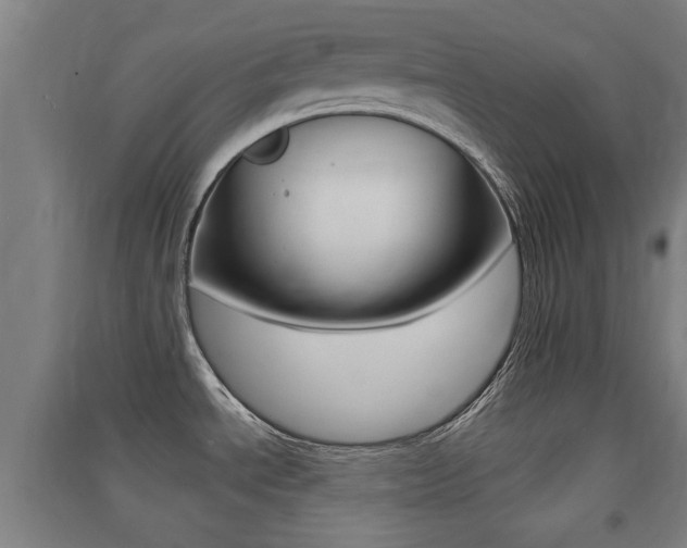 X0000091551534200708171031