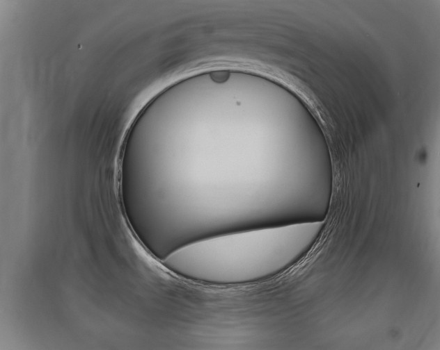 X0000091551535200708171031