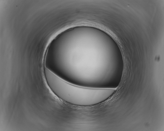 X0000091551536200708171031