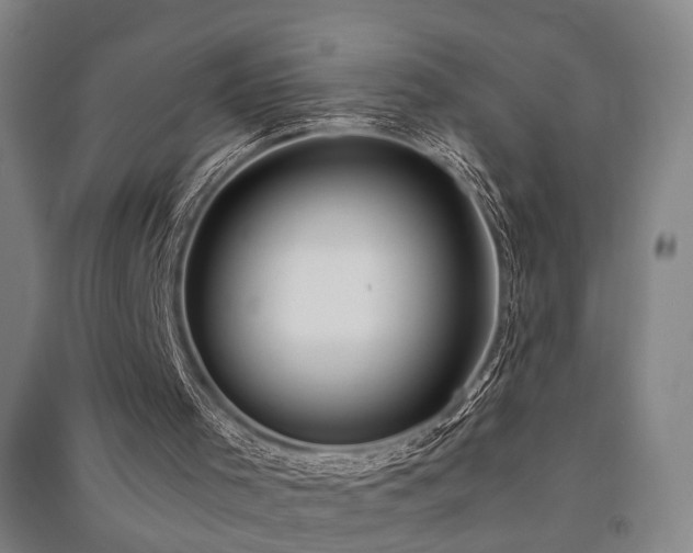 X0000091550001200708171315