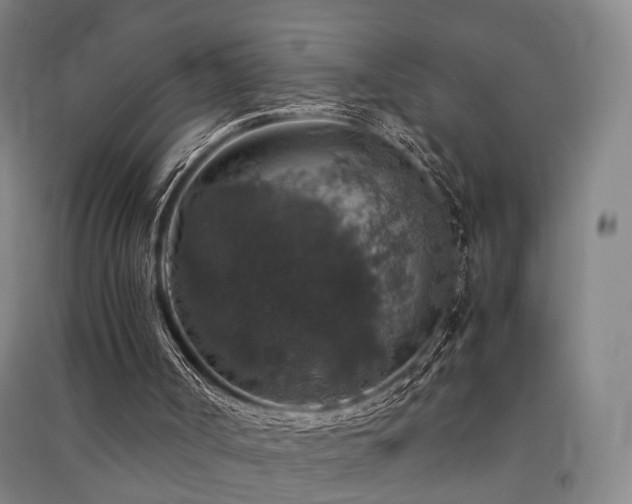 X0000091550002200708171315