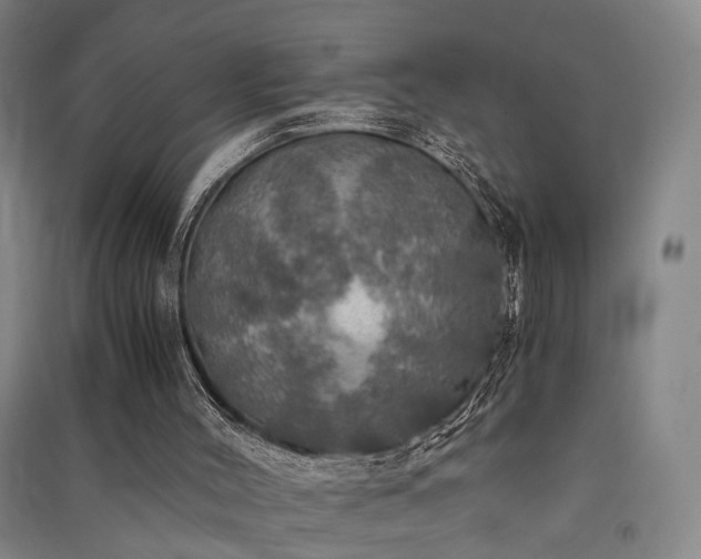X0000091550004200708171315