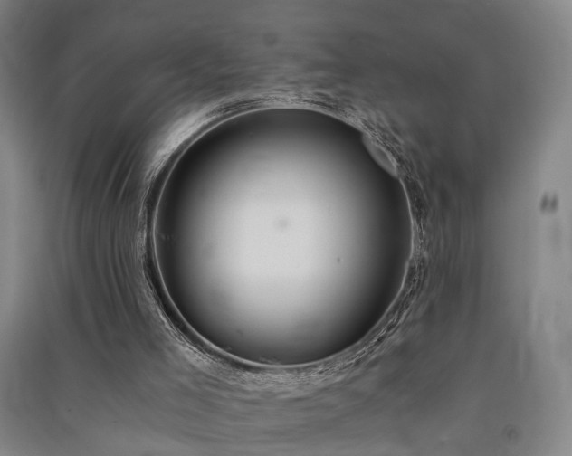X0000091550005200708171315