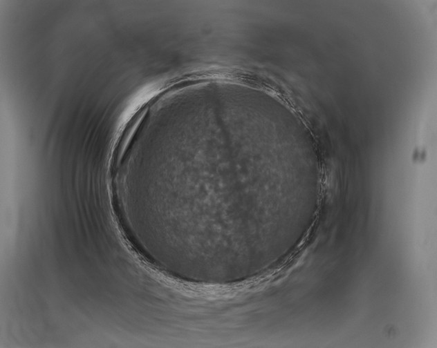X0000091550006200708171315