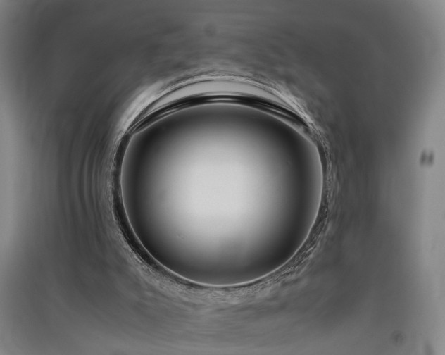 X0000091550007200708171314