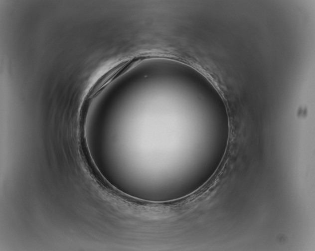 X0000091550008200708171314
