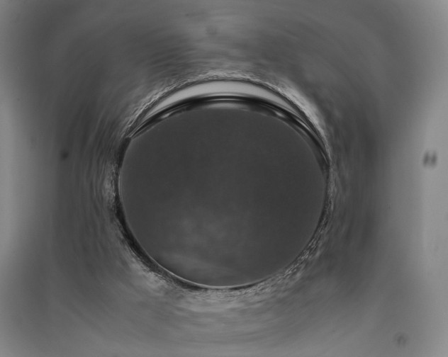 X0000091550009200708171314