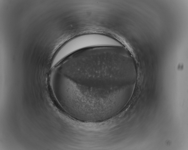 X0000091550010200708171314