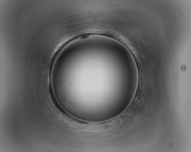 X0000091550011200708171314
