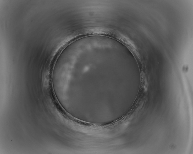 X0000091550012200708171314