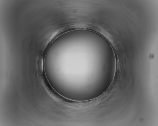 X0000091550013200708171314