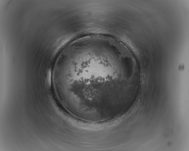 X0000091550014200708171314