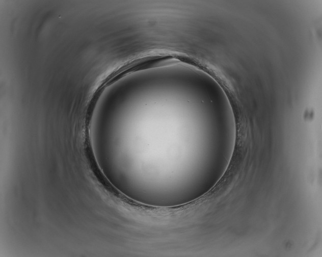 X0000091550015200708171314