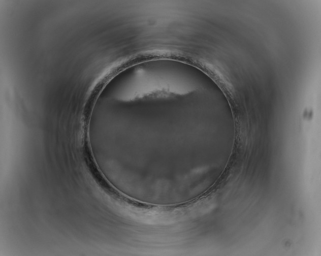 X0000091550016200708171314