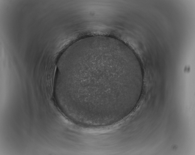 X0000091550017200708171314