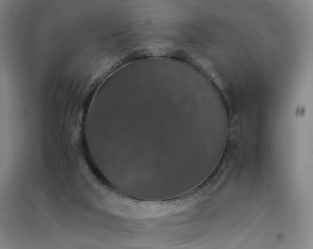 X0000091550018200708171314