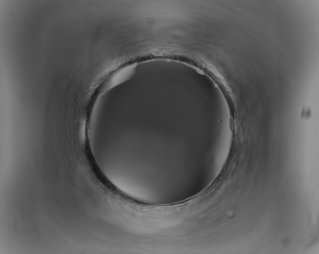 X0000091550019200708171314