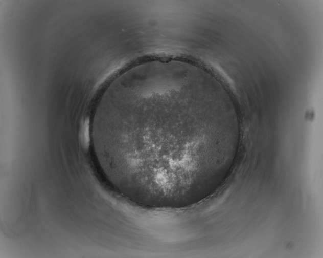 X0000091550020200708171314