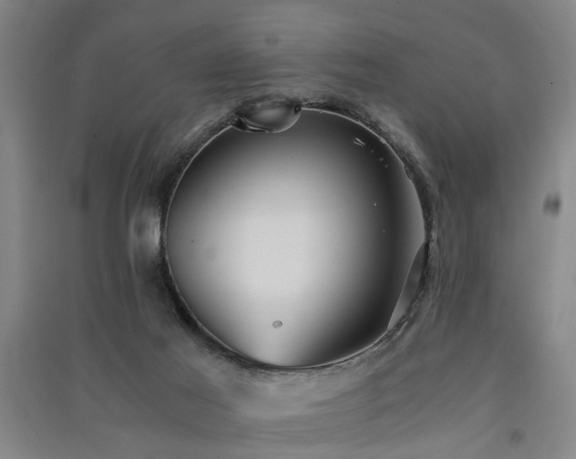 X0000091550021200708171314