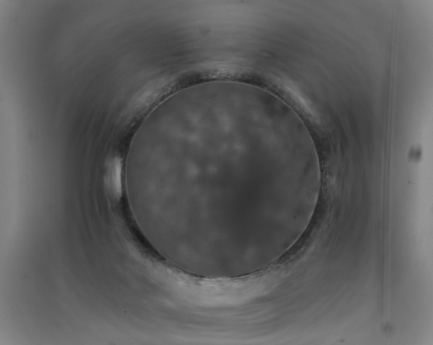 X0000091550022200708171314