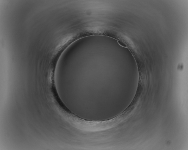 X0000091550023200708171314