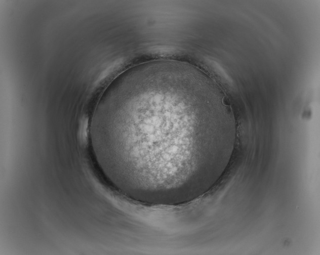 X0000091550024200708171314
