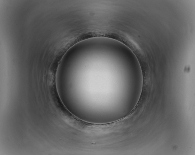 X0000091550025200708171314