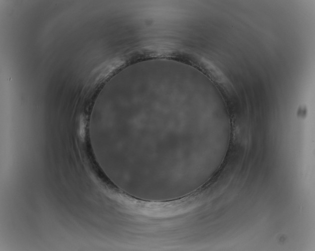 X0000091550026200708171314