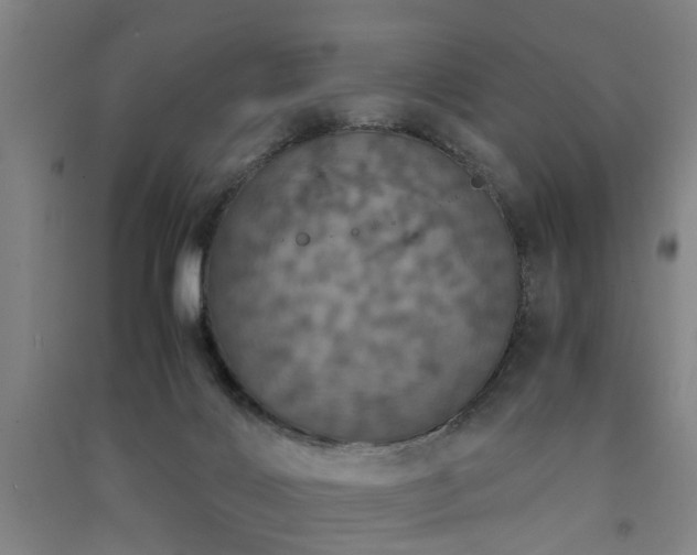 X0000091550028200708171314