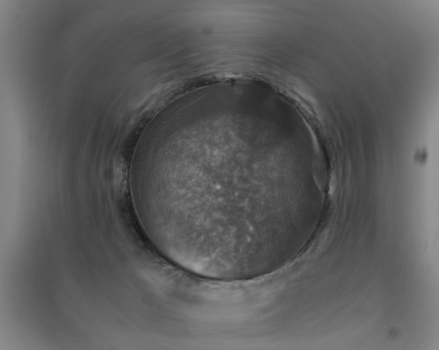 X0000091550029200708171314