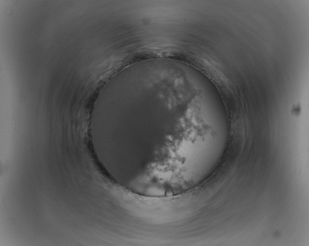X0000091550030200708171314