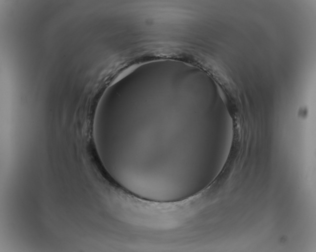 X0000091550031200708171314