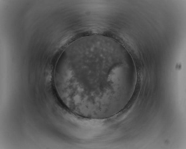 X0000091550032200708171314