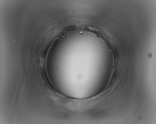 X0000091550033200708171314